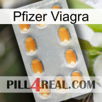 Pfizer Viagra cialis3